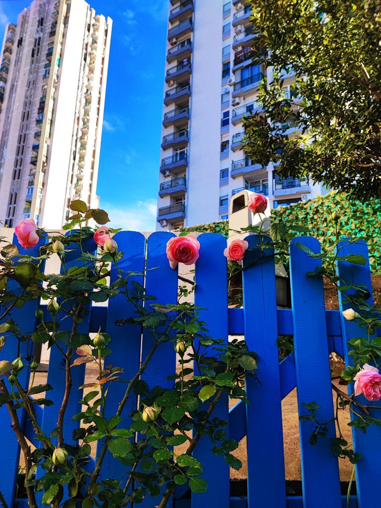 House Apartment Torretta リエカ エクステリア 写真